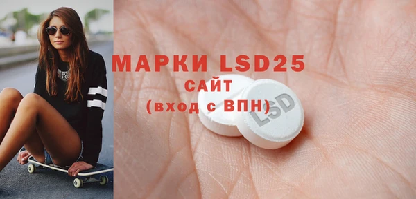 шишки Снежногорск