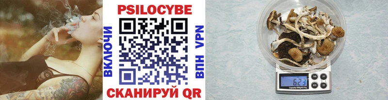 где можно купить Беломорск Галлюциногенные грибы мицелий